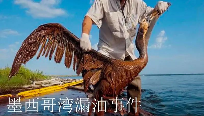 被海上溢油“染黑”的海岸线腾博汇环保热解技术助力守护海洋生命线